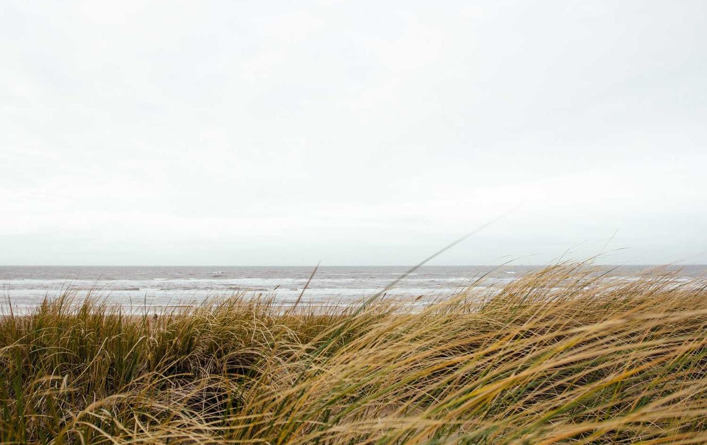 如何戒掉烟草后仍然保持健康？