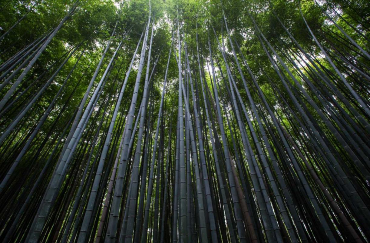 解读DDOS攻击具体端口- 黄金平台开户失败