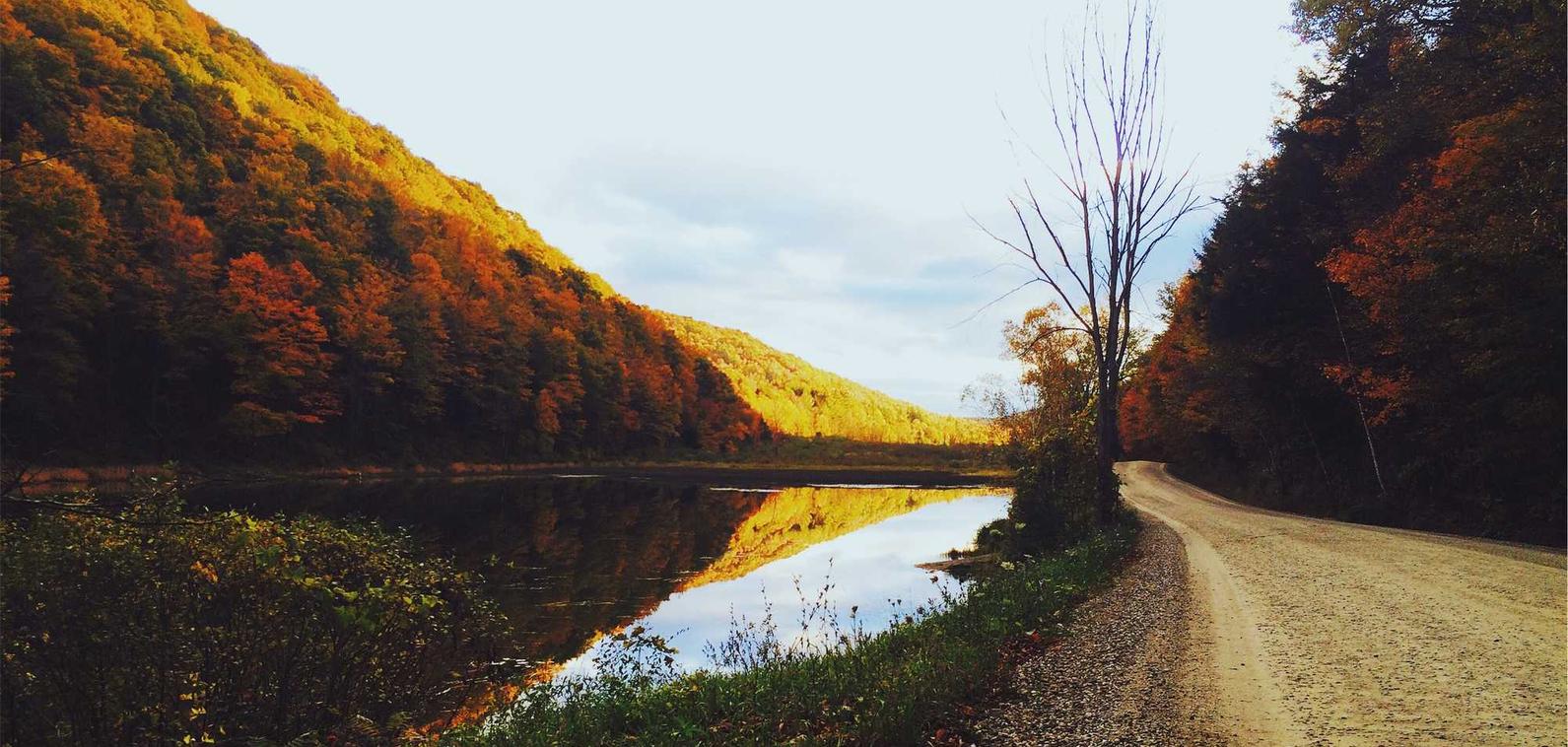 蝙蝠实名账号：流量卡和人类社会的未来