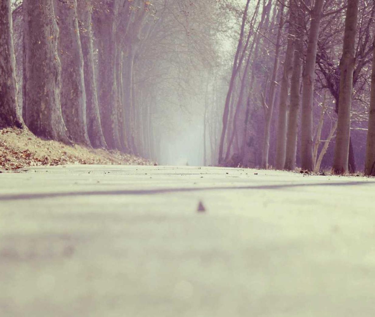 263网络通信实名账号:买家秀衣服代理平台