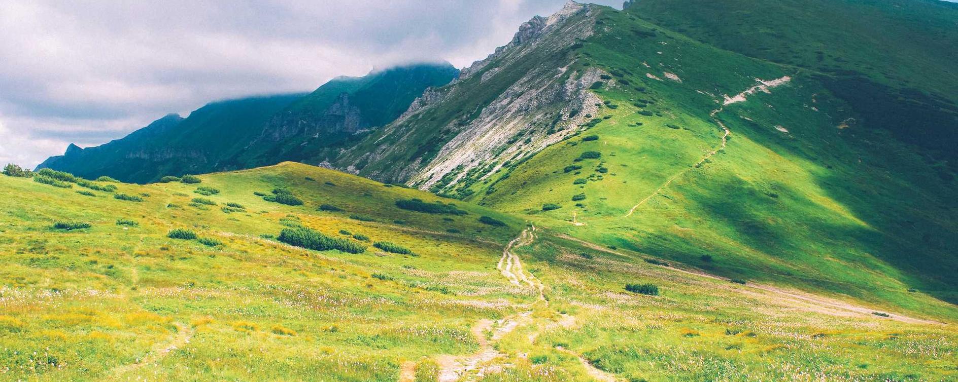 短信接收频率过高，影响用户体验