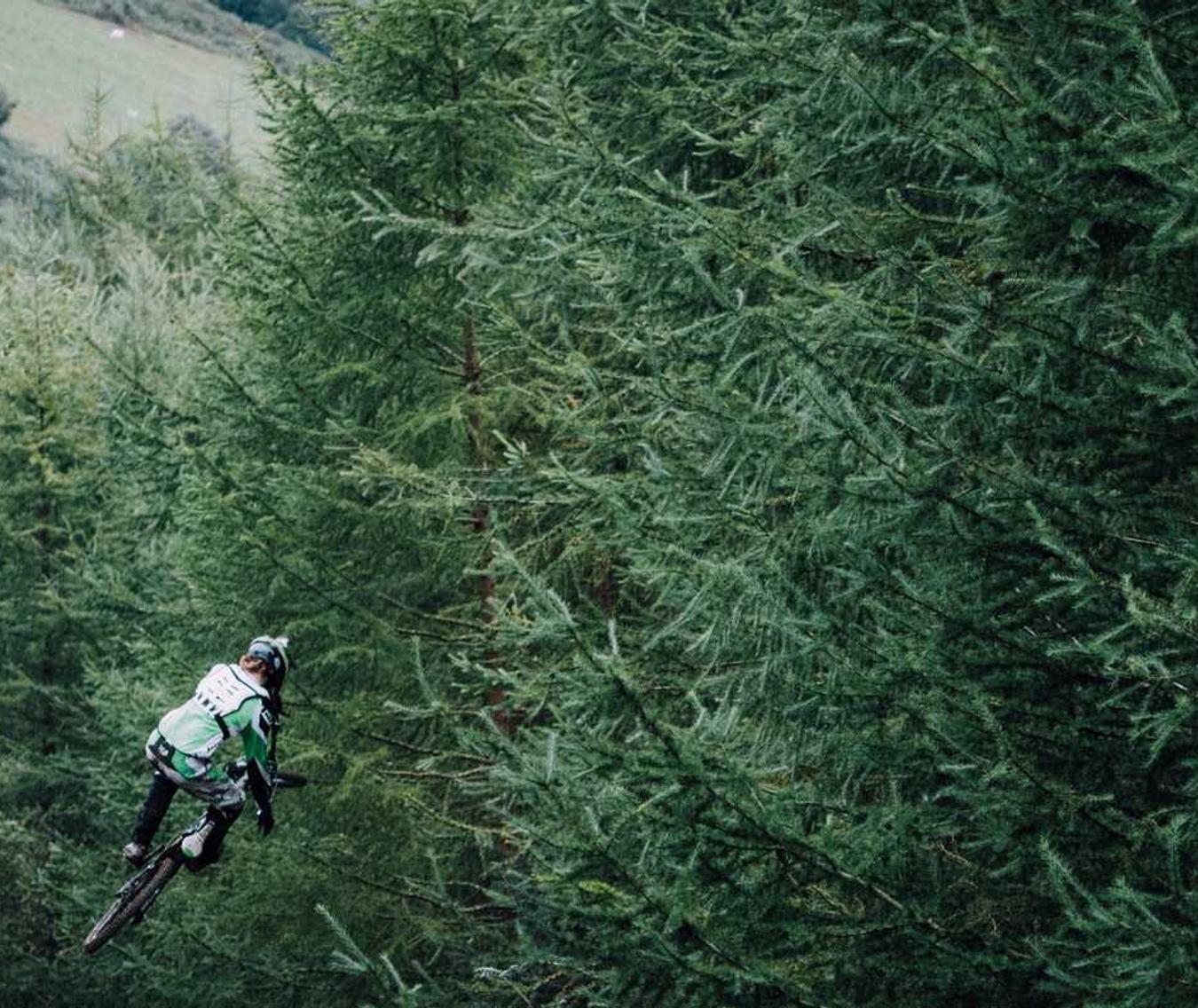 Mond梦都苹果：主人杯购买平台