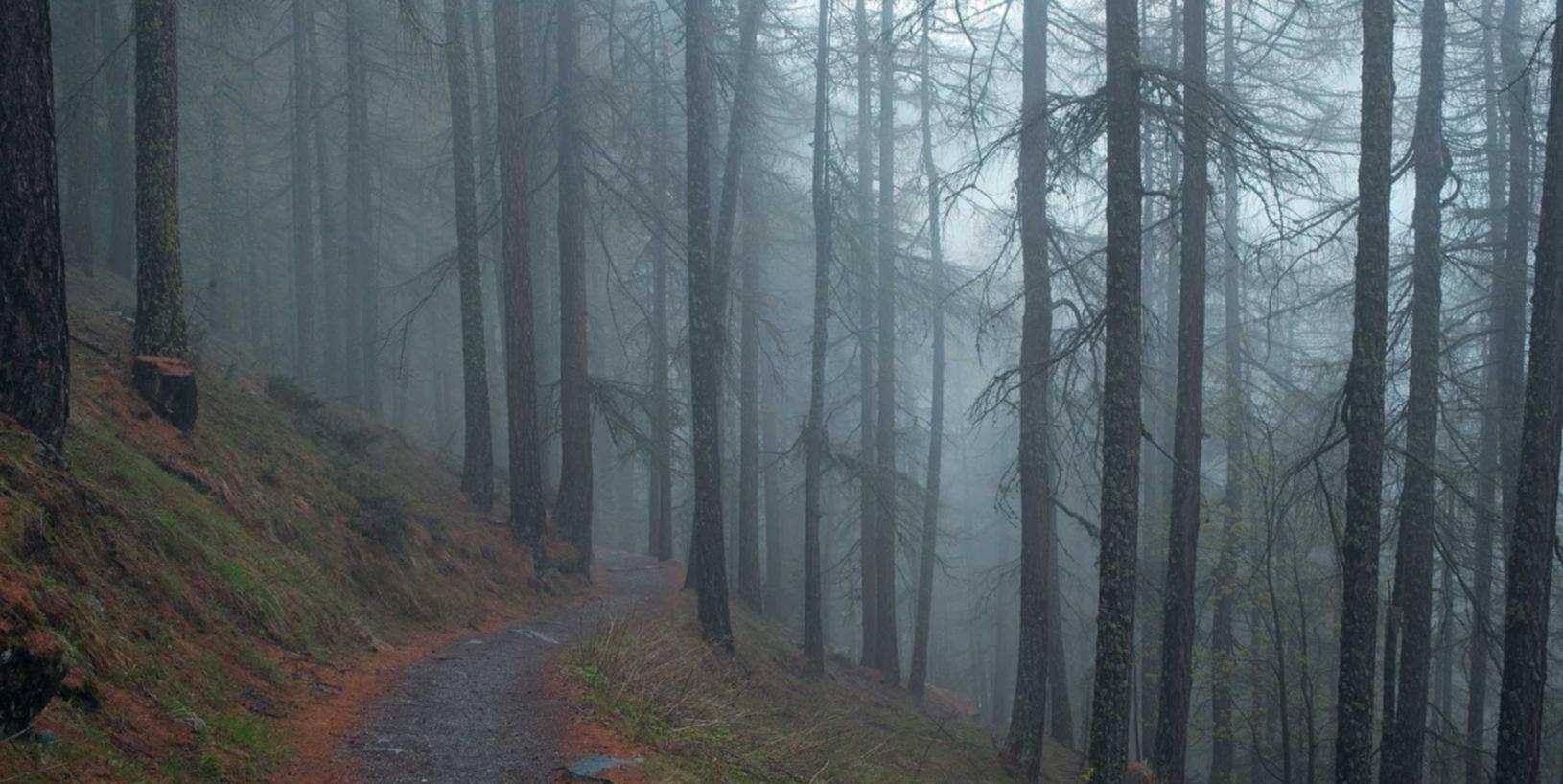 在线DDOS平台攻击|新沂期权开户平台有哪些