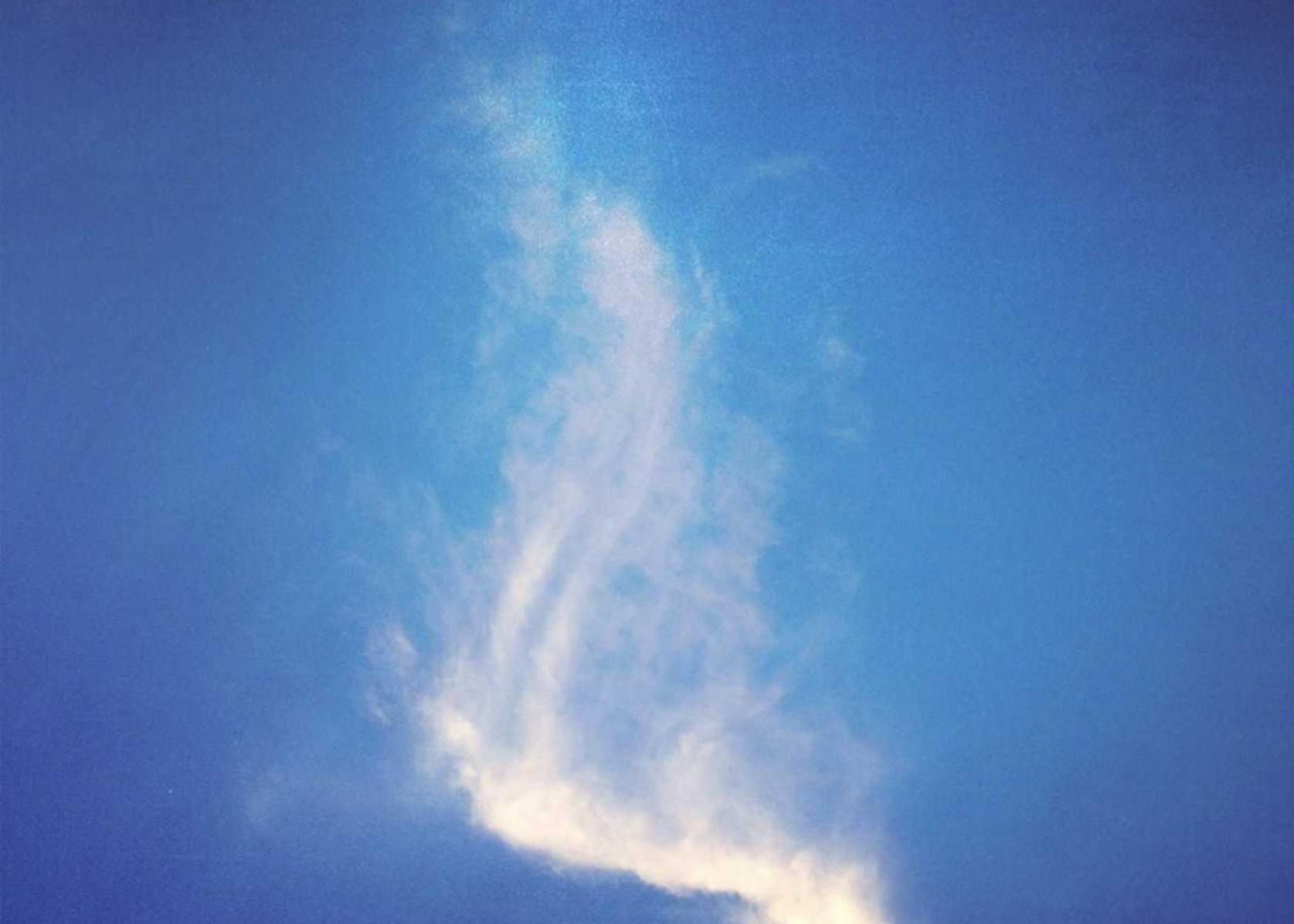 黑标七星：dmm注册账号