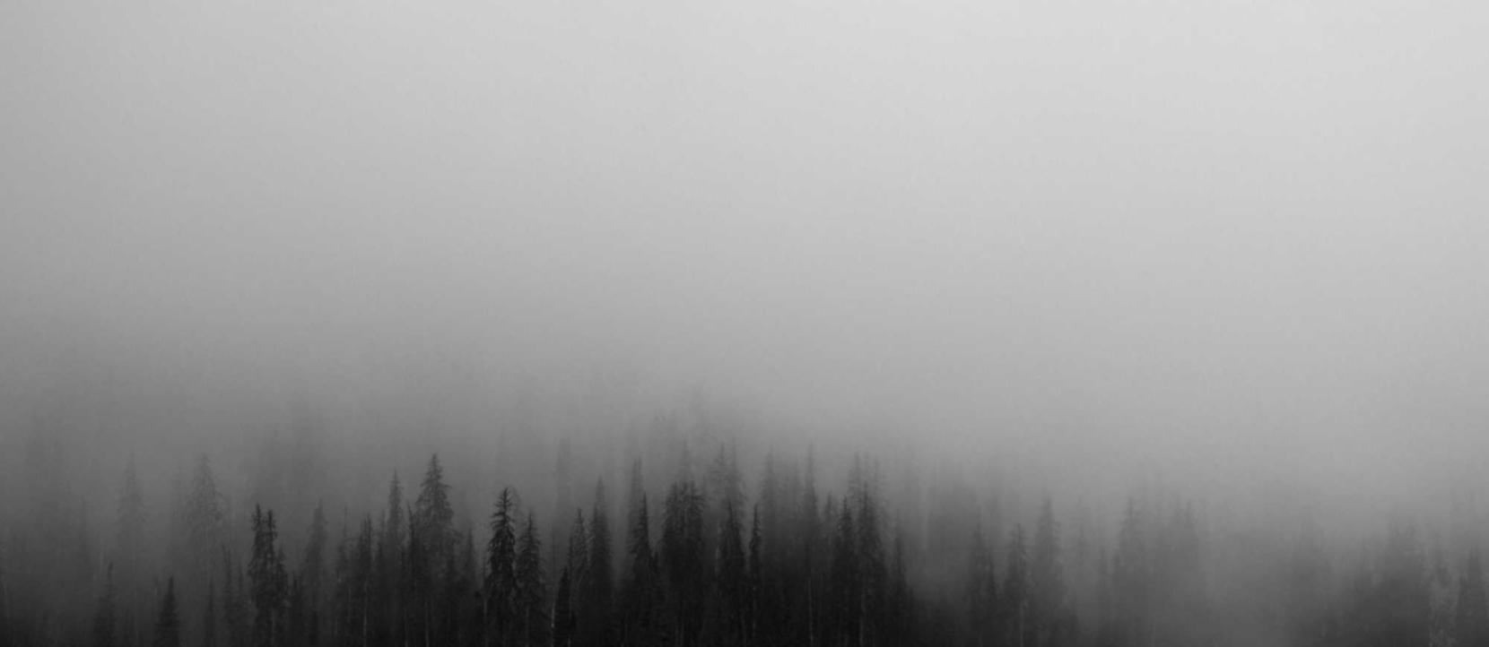 Mond梦都西瓜:珠峰无线app详情下载教程