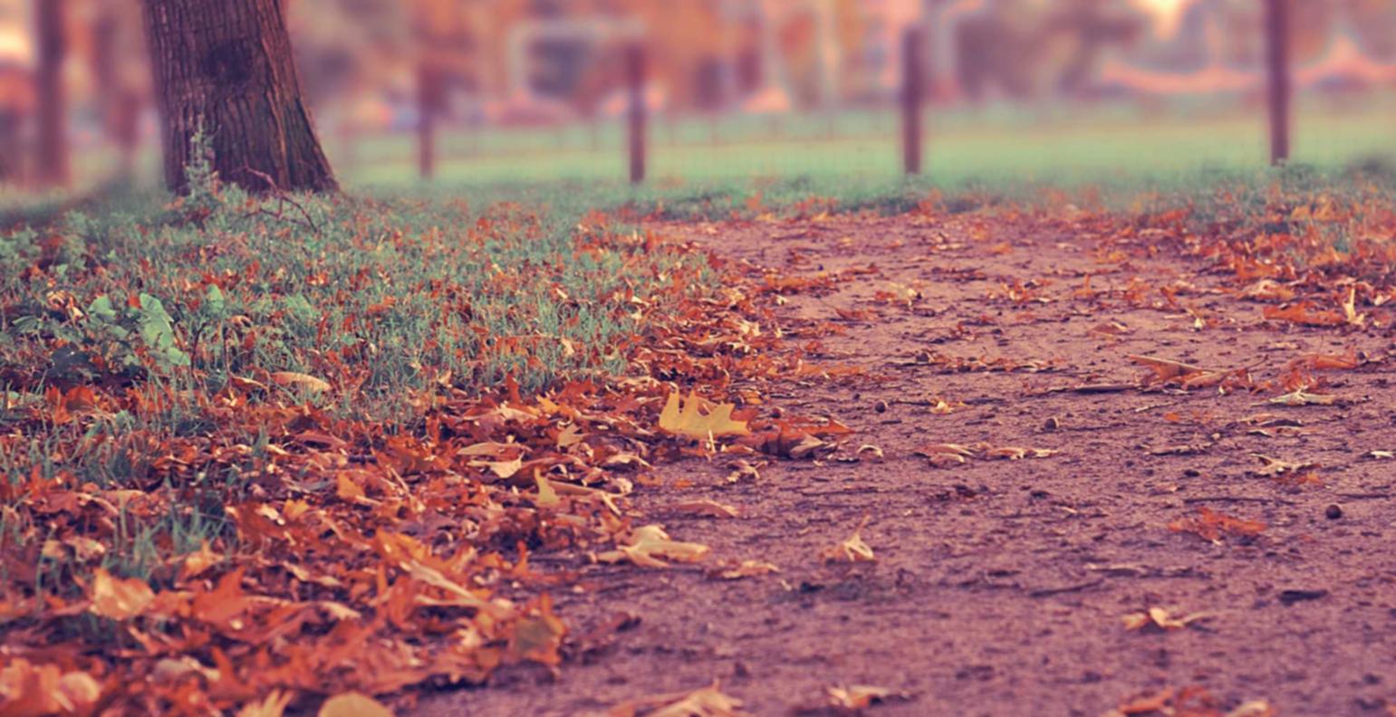 香烟对于心理健康的影响