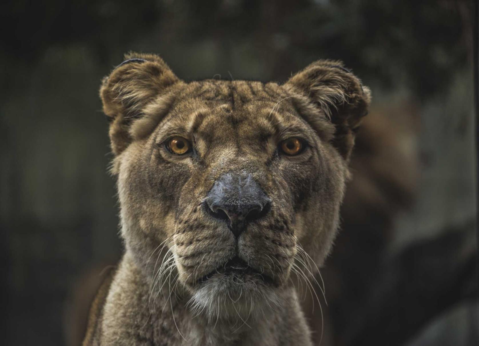 Peel百乐酸奶爆珠:建设银行手机app详情下载教程