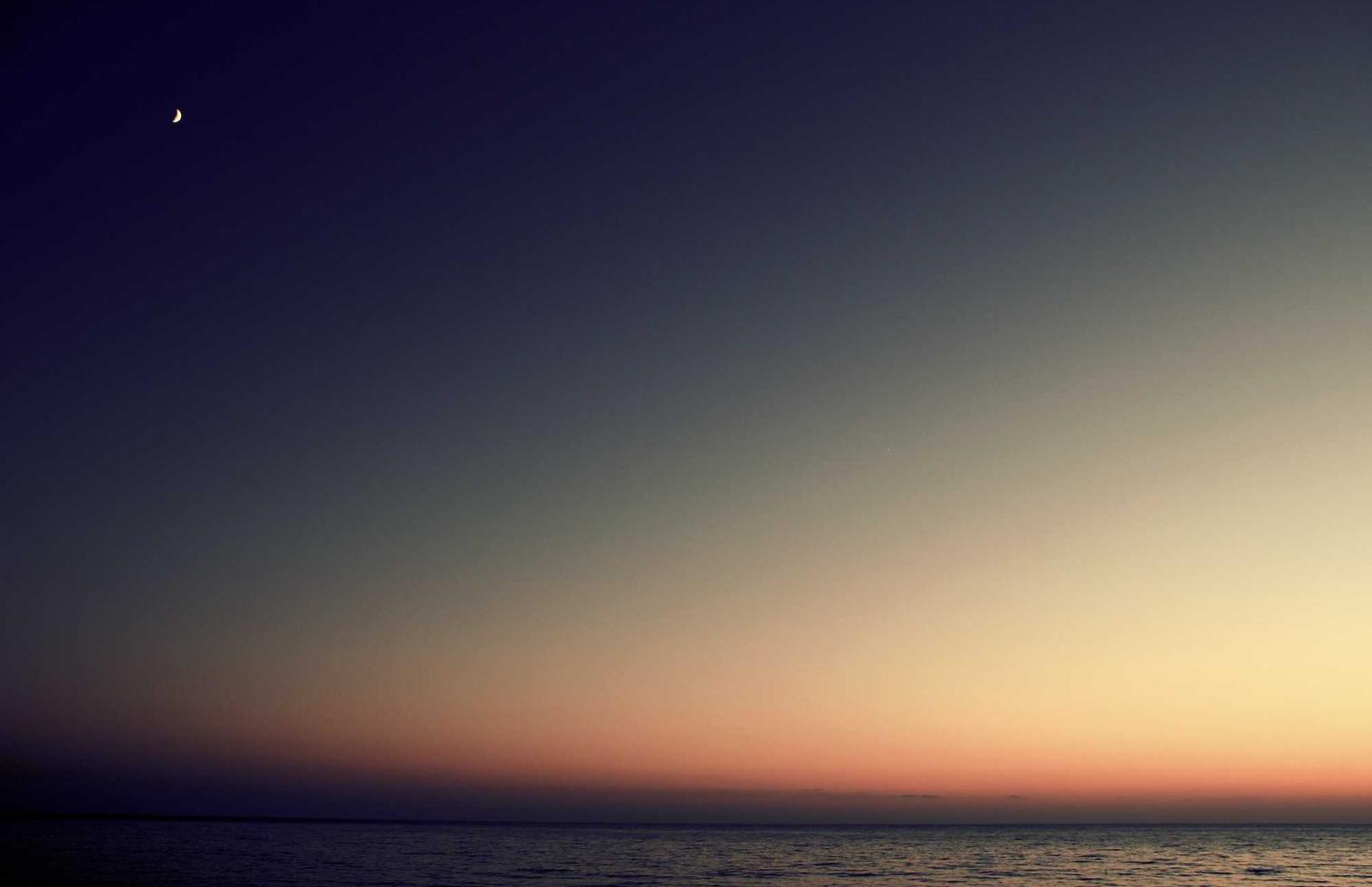 指尖领主:详情下载教程芒星app