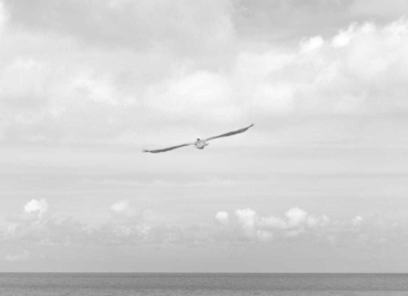 天火3如何利用视频营销策略占领移动互联网