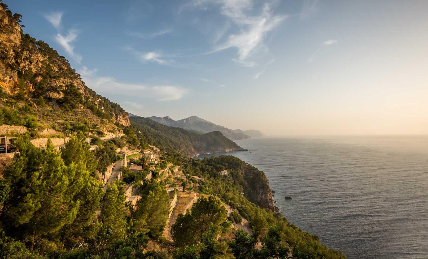 代理注册亚马逊协议