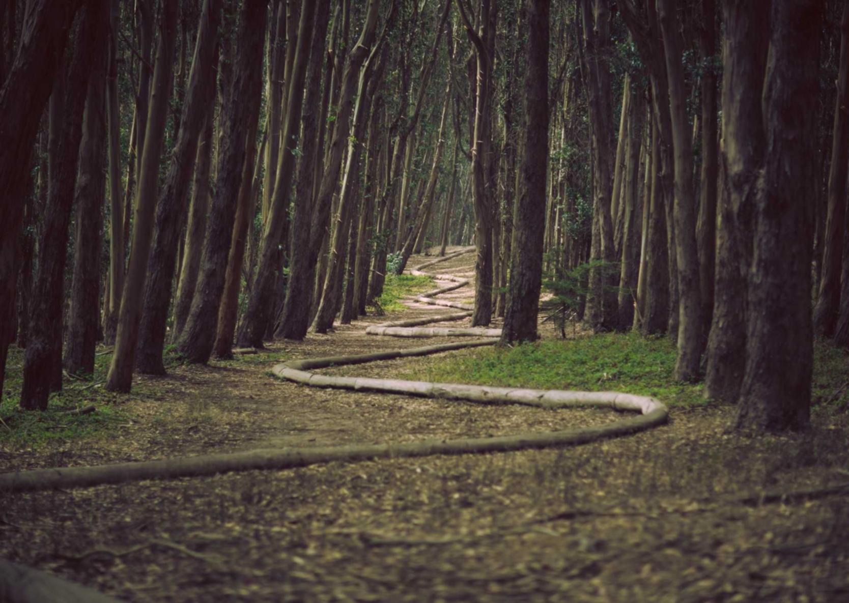 出售微信号码:实名制度给互联网带来的改变与发展机遇的前瞻分析