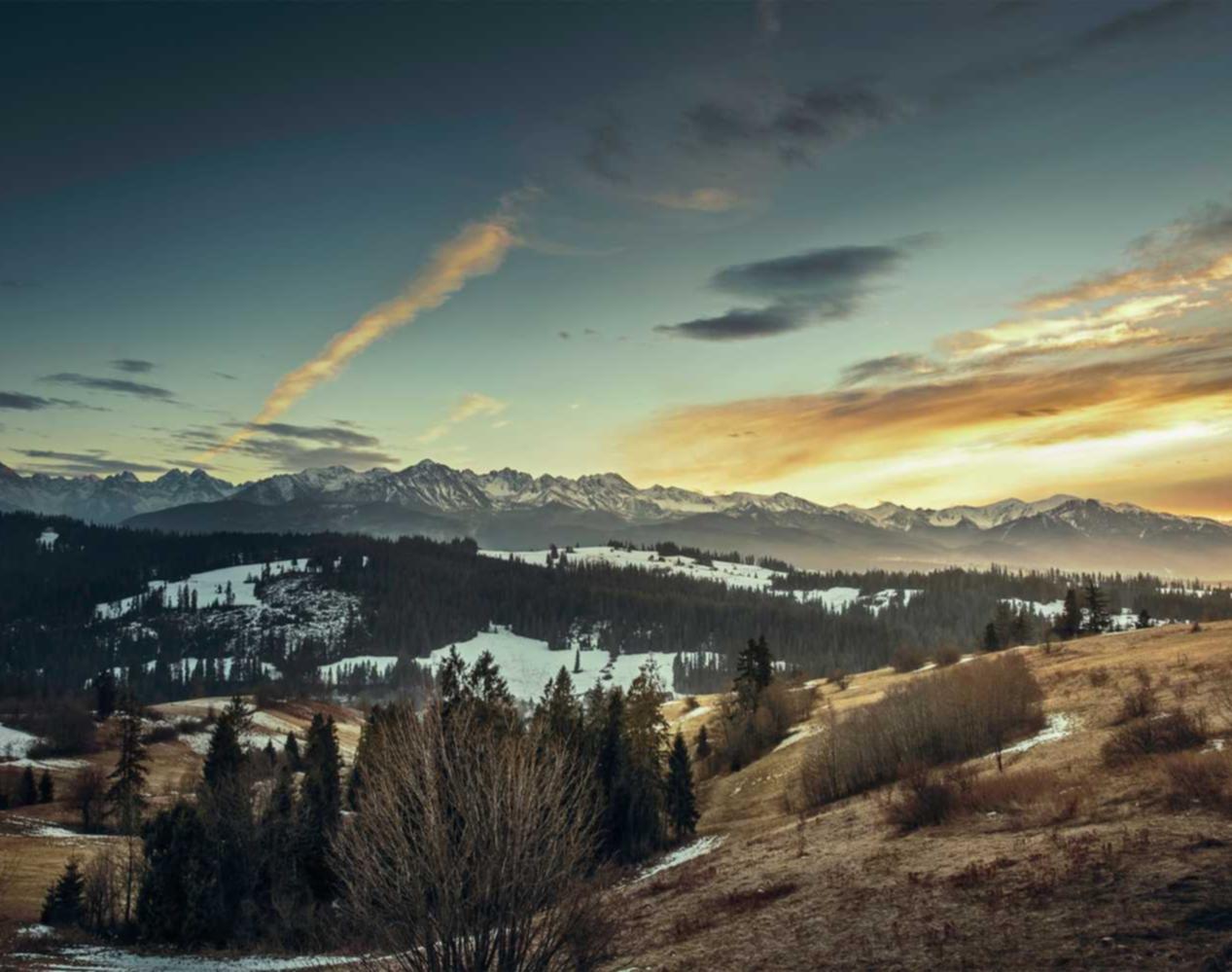 普泰移动实名账号：saas平台招商代理