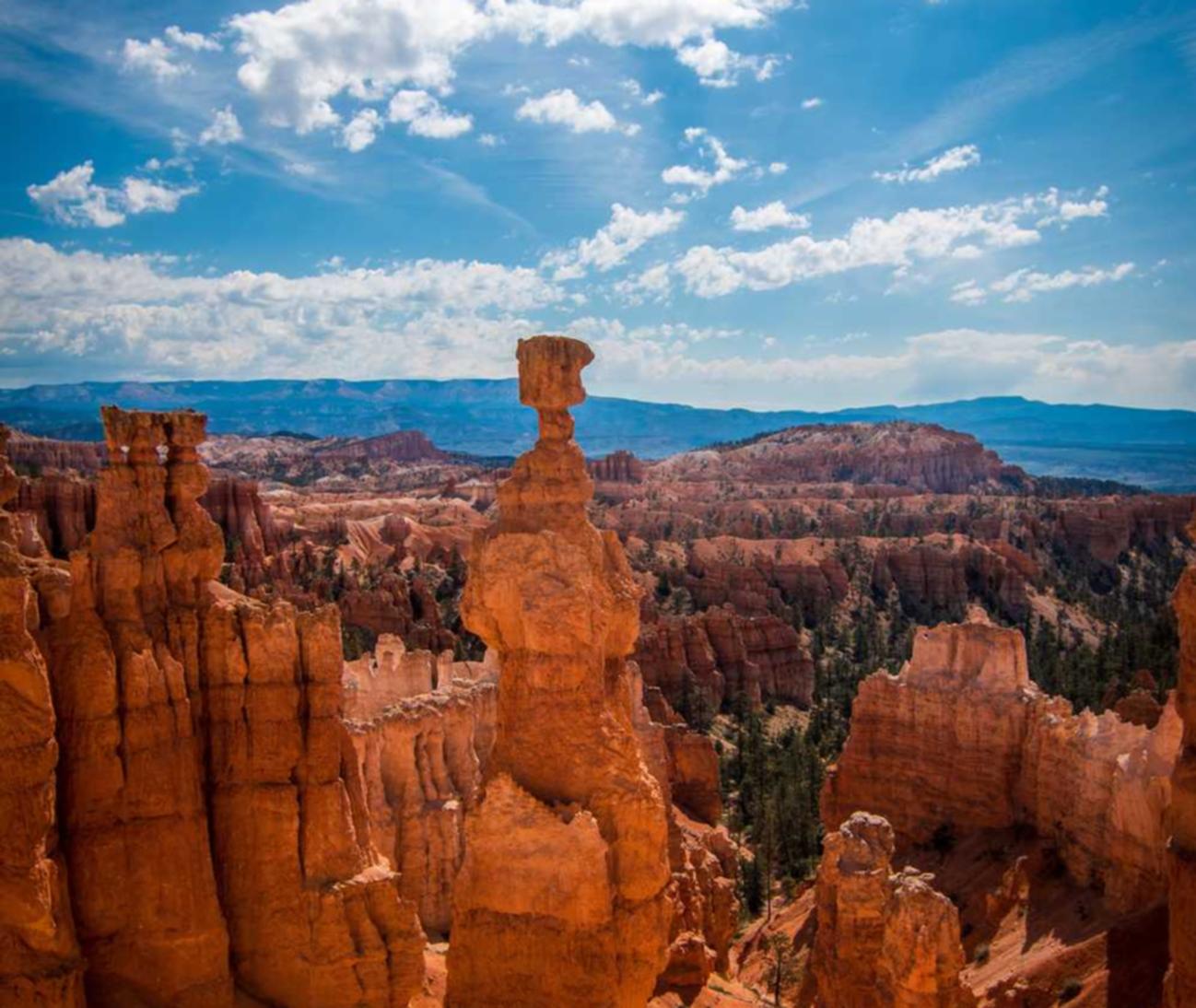 豌豆ip实名账号:原油开户哪个平台最好