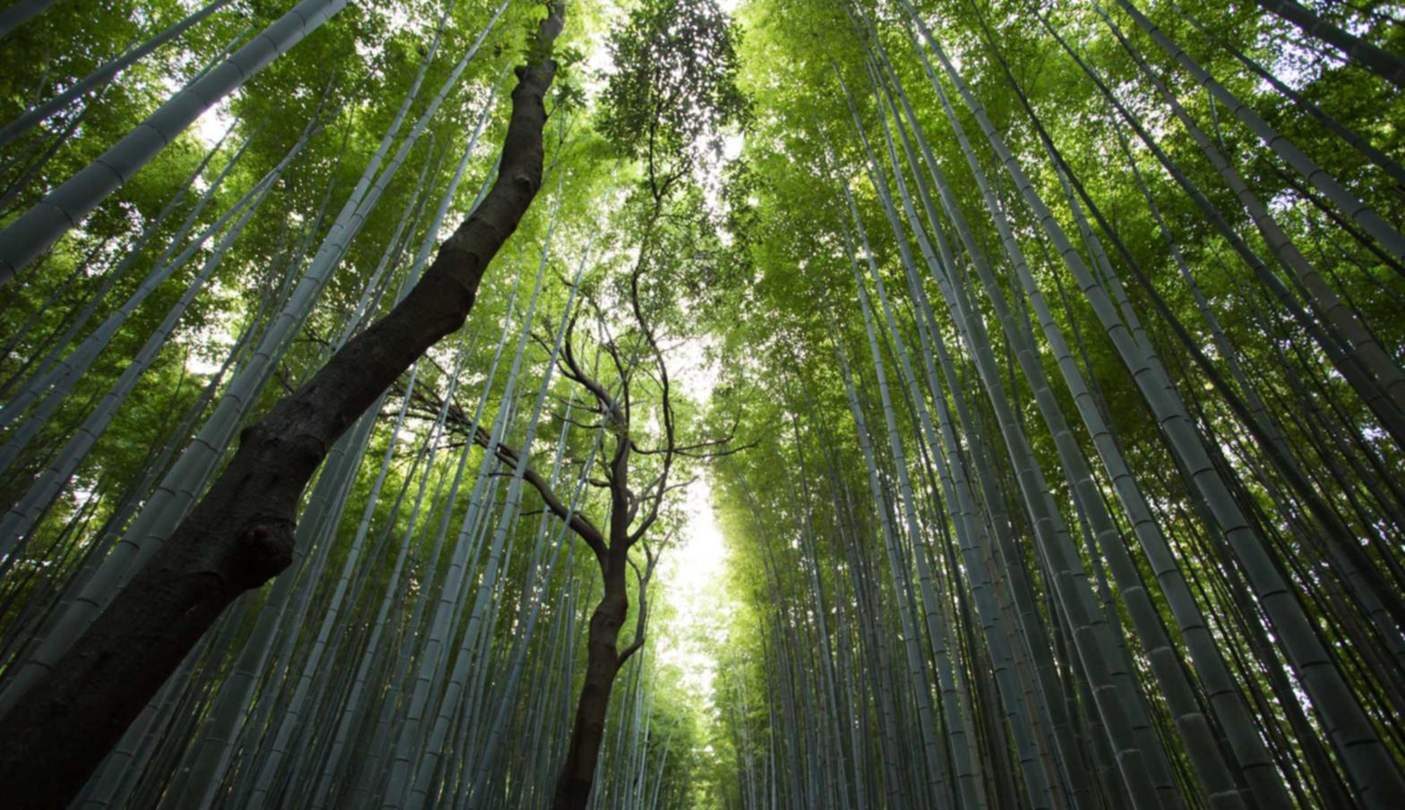 游戏技术支持所衍生出的副产业