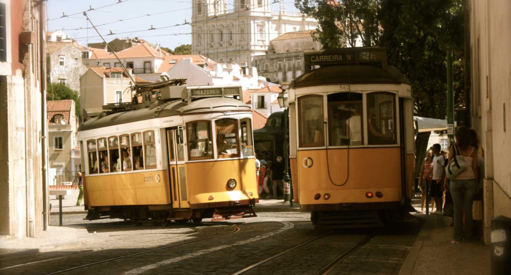 风车香蕉app详情下载教程