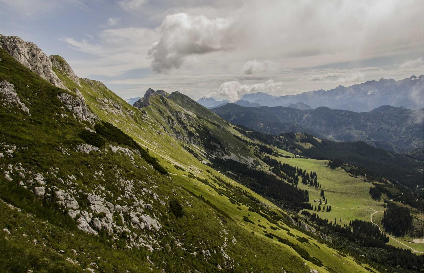 网信移动实名账号:移动设备如何利用短信优化您的生产效率