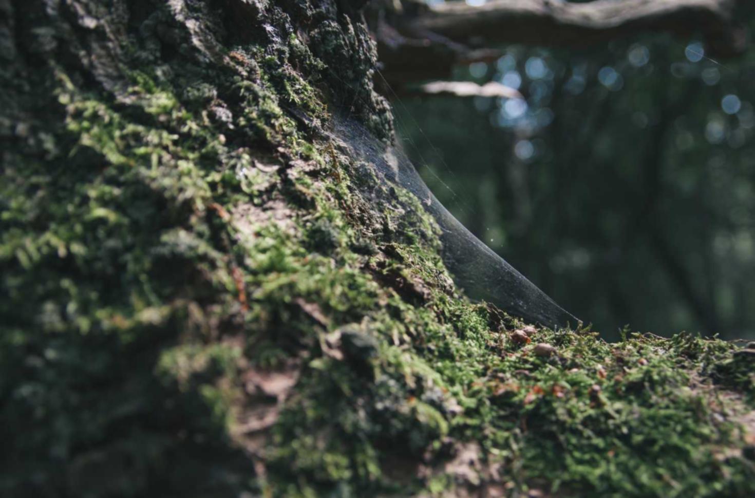 信无双2社保代理公司平台