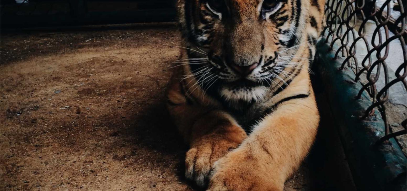 出售微信号码：危化品公司注册代理记账