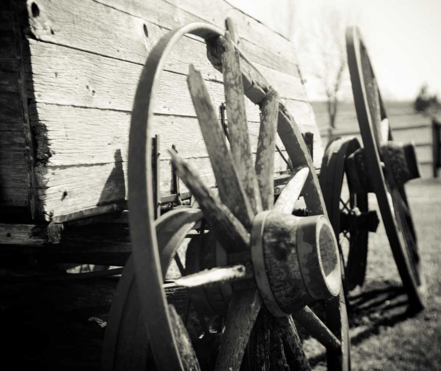 如何在网络游戏中拒绝使用技术支持辅助