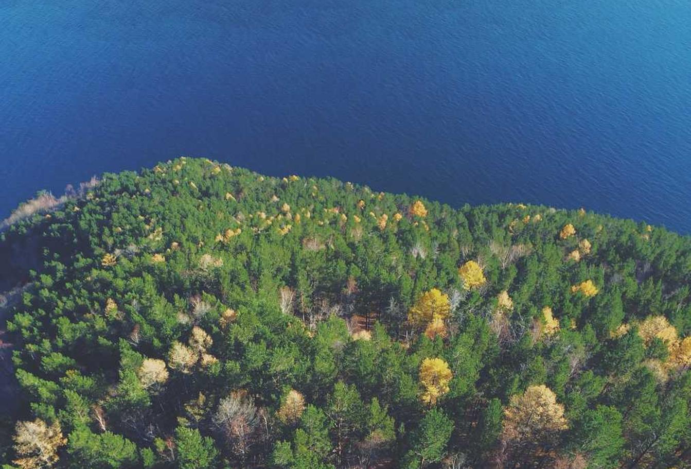 实名支付宝买卖：什么平台可以购买软件版权