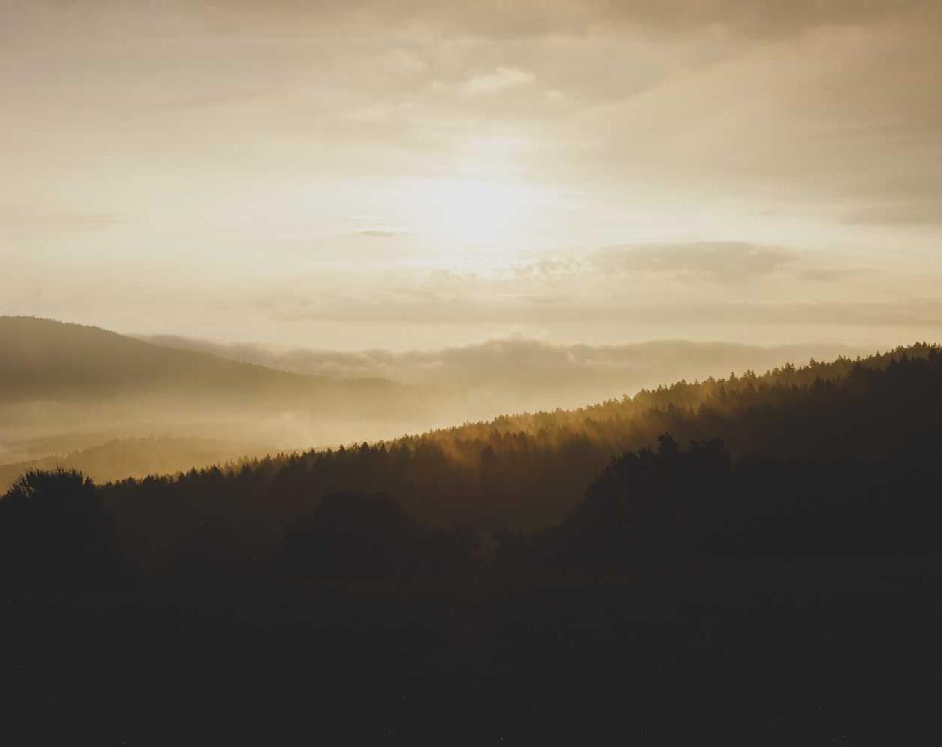 DDOS接单平台|电报app中文详情下载教程