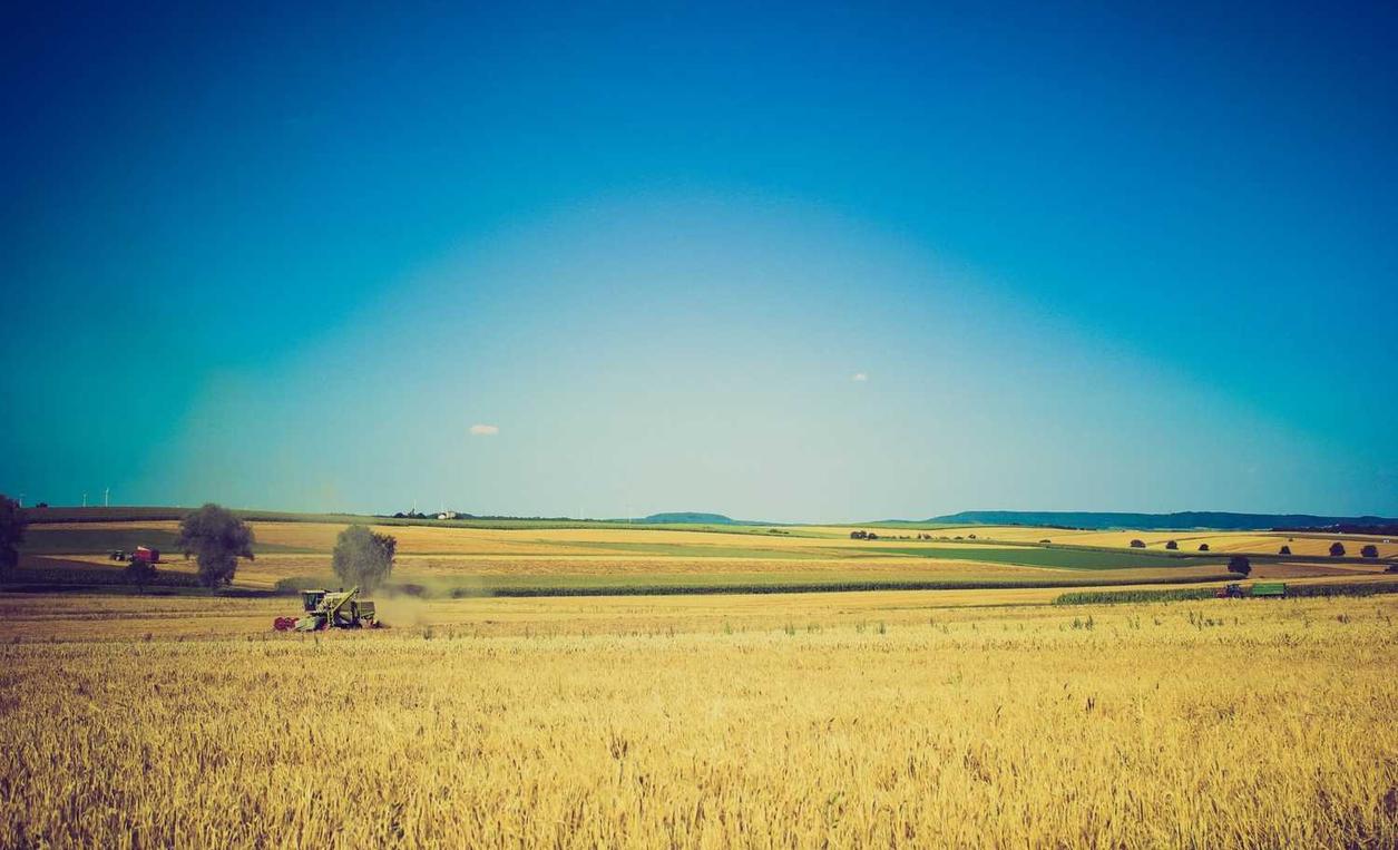 恩佐荣耀助手app详情下载教程