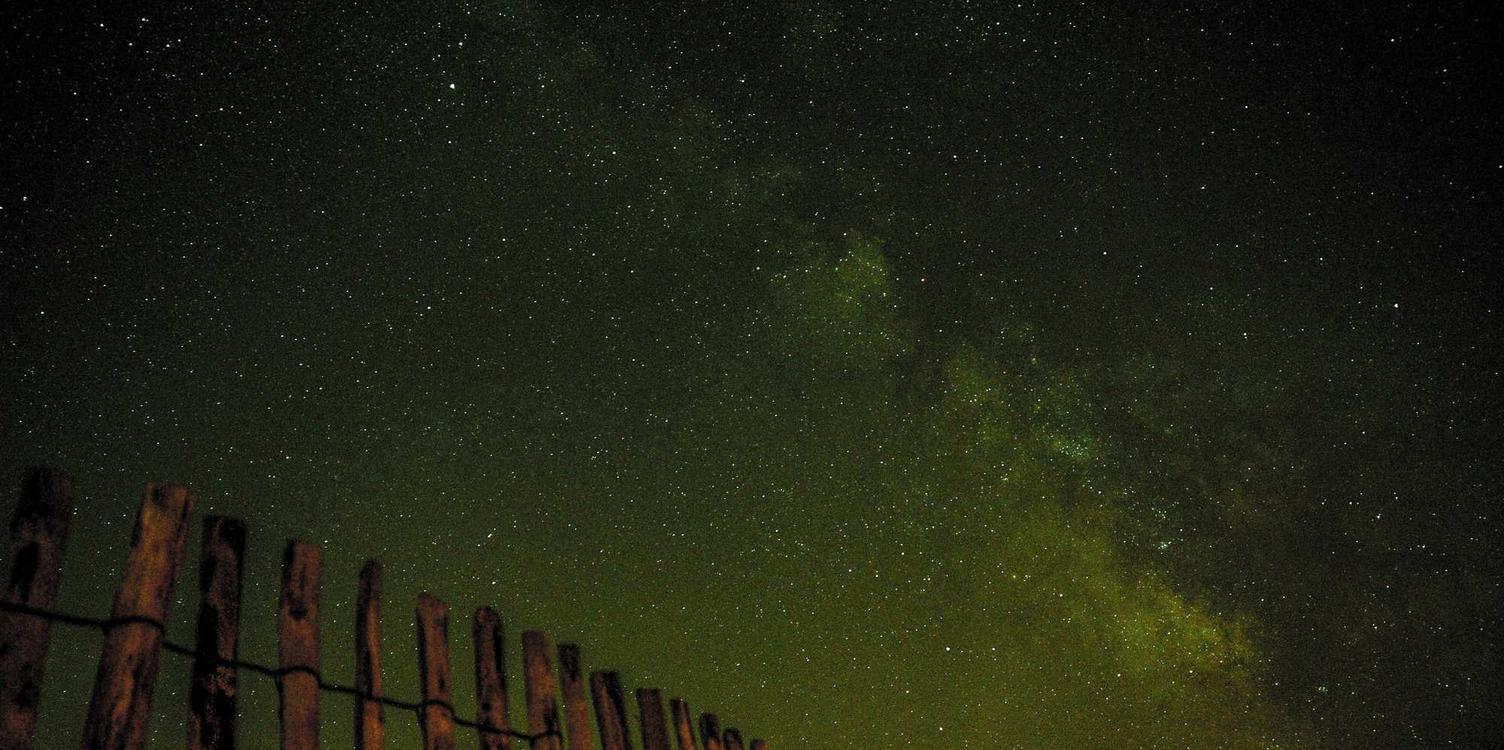 如何进行竞争对手分析以提高排名