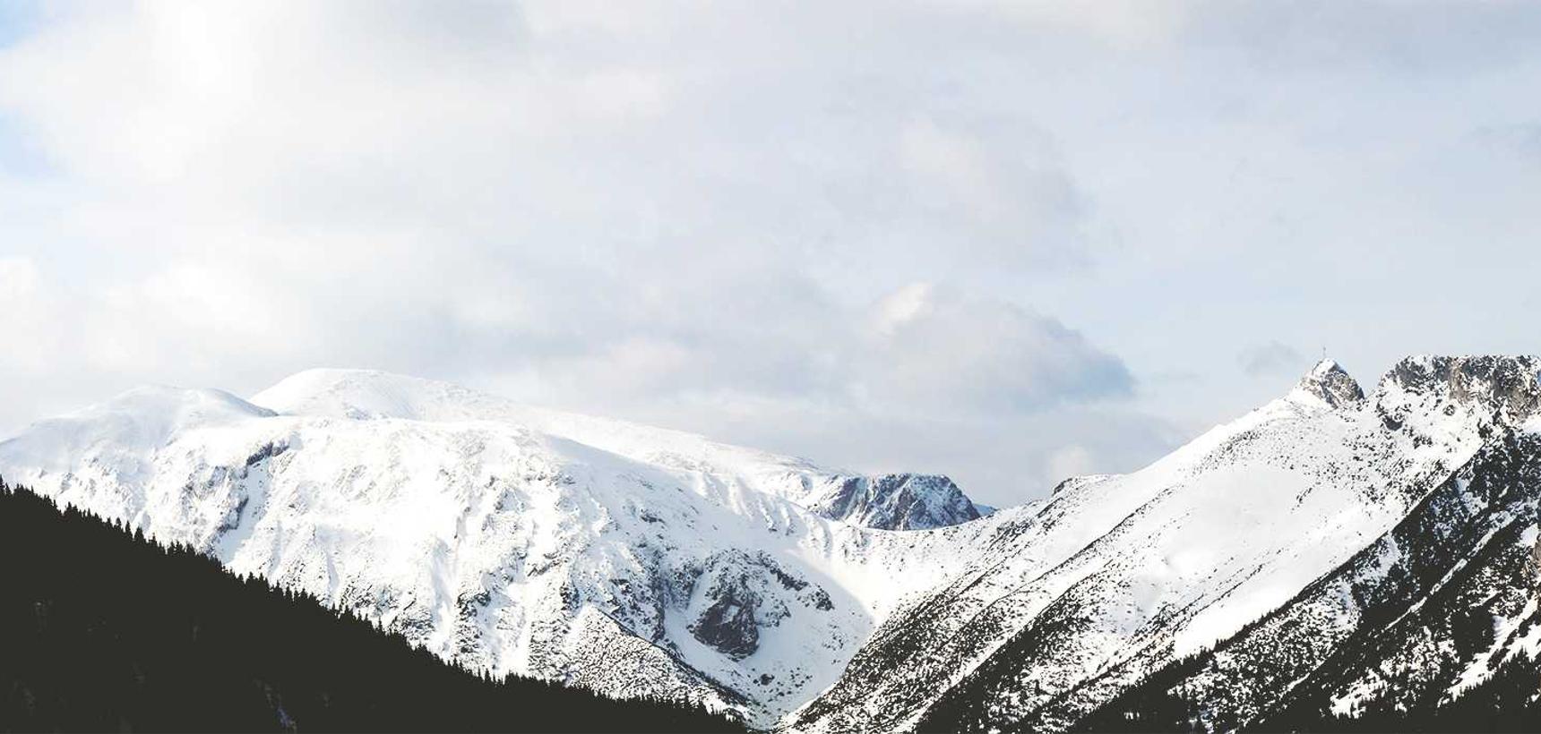 详情下载教程易车app