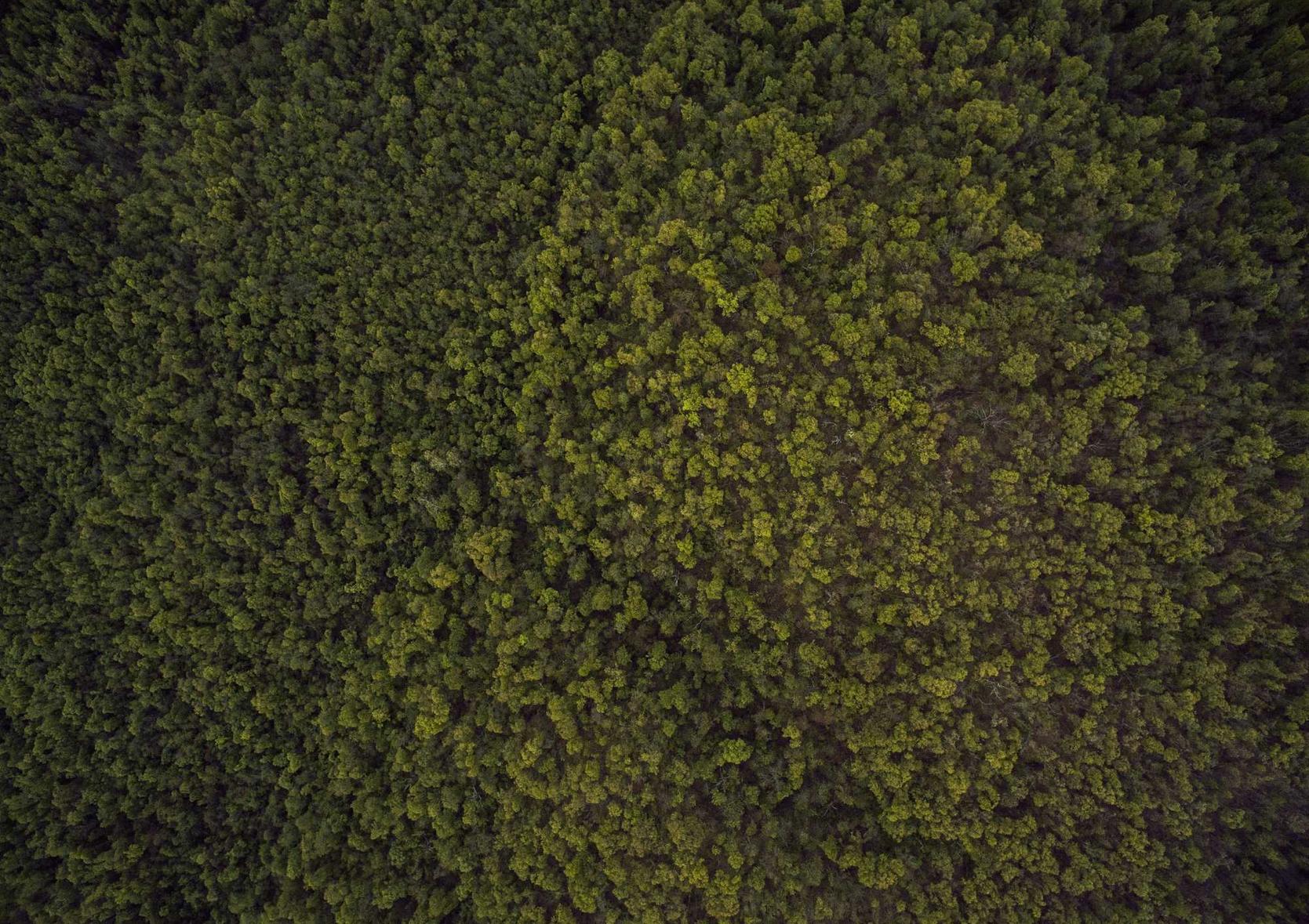 如何让玩家遵守规则，不使用技术支持？