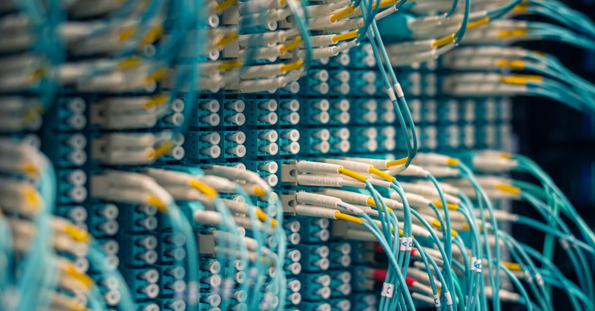 日税香草魔鬼：素描放心购买平台