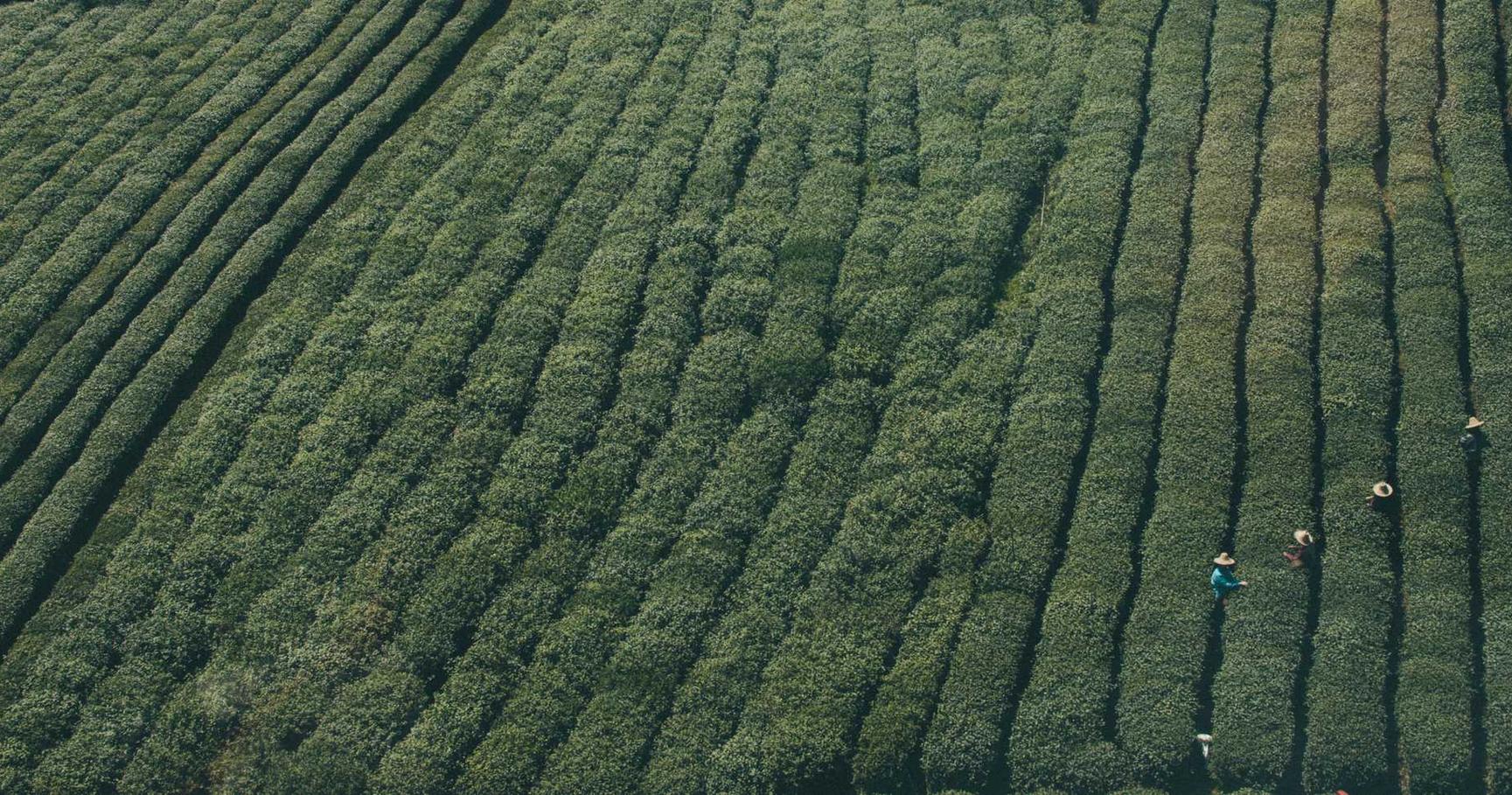 Mond梦都橙子：上海购买卷尺平台