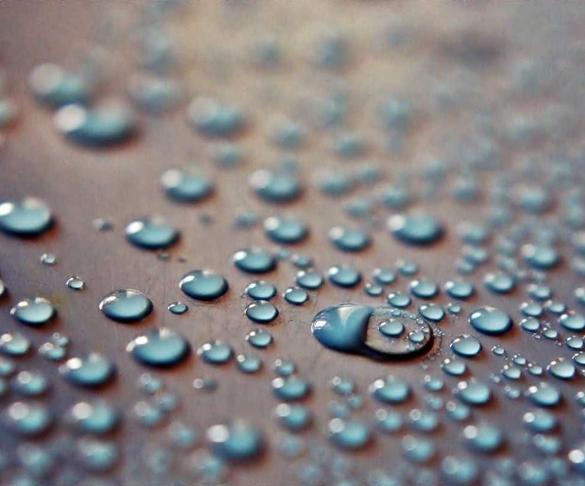 贝纳查比华士 Brevas（12支）：同创开户-皇恩a平台