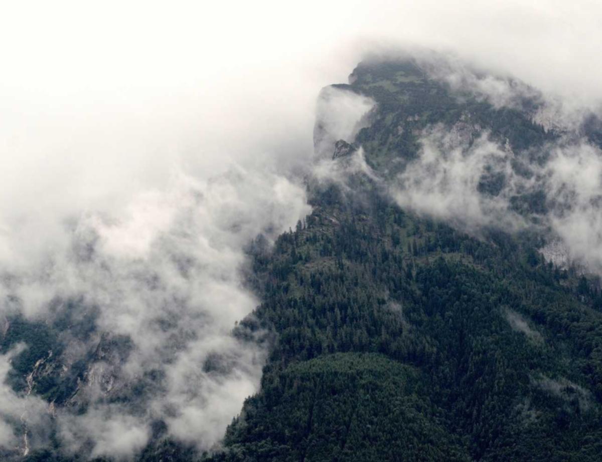 恩佐2如何运用整站优化提高企业规模