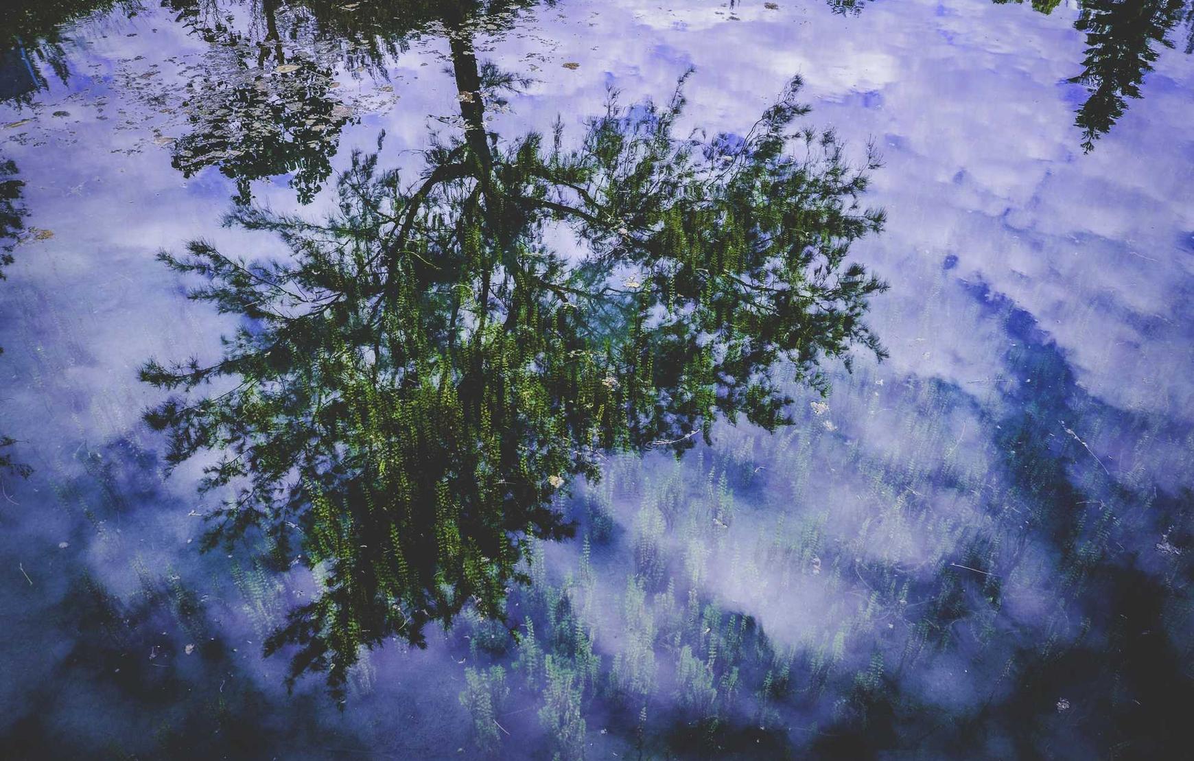 技术支持如何影响游戏厂商与游戏玩家之间的信任