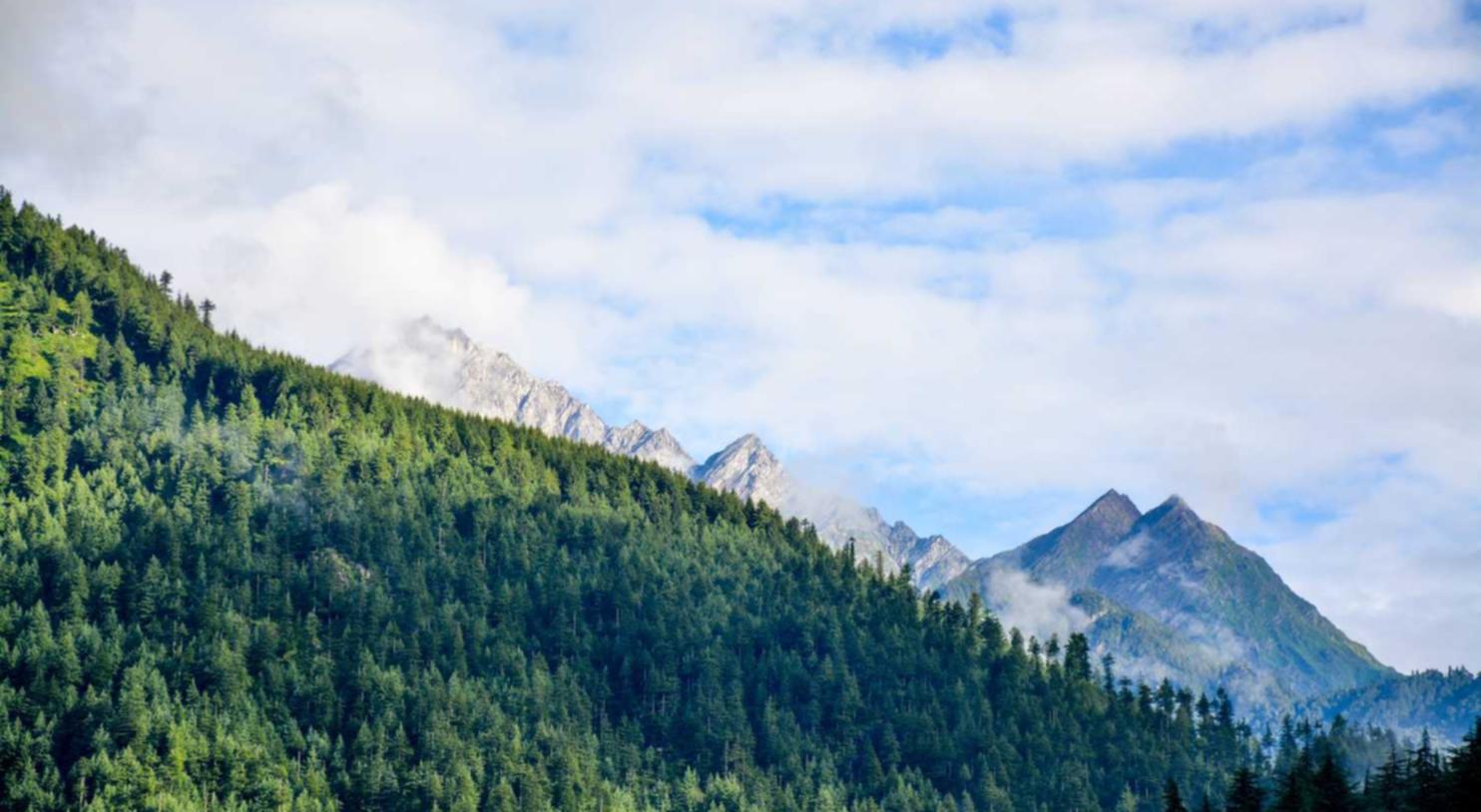 263网络通信实名账号：流量卡的优惠和礼品包现金抵扣方式