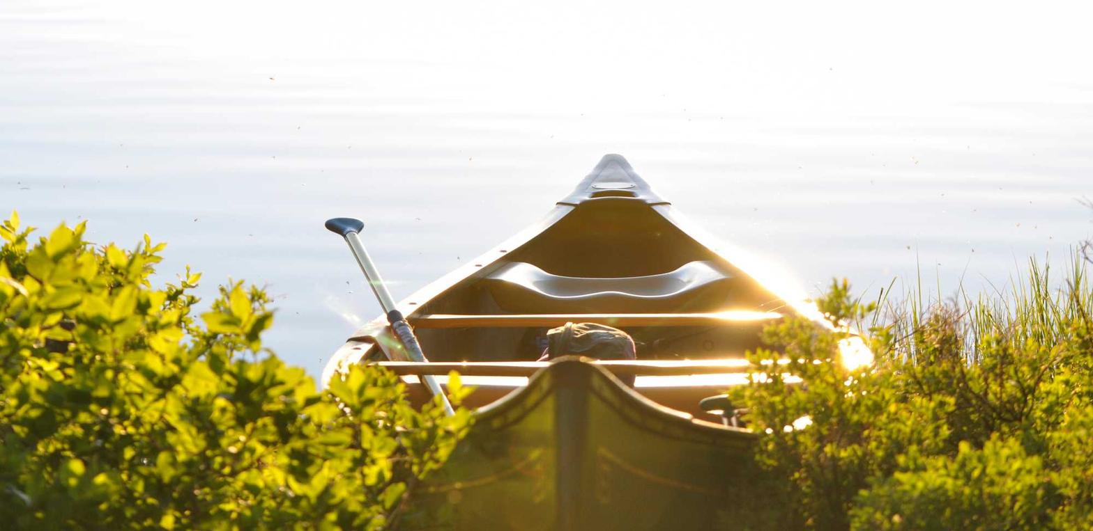 飞网ip实名账号:详情下载教程壁纸APP