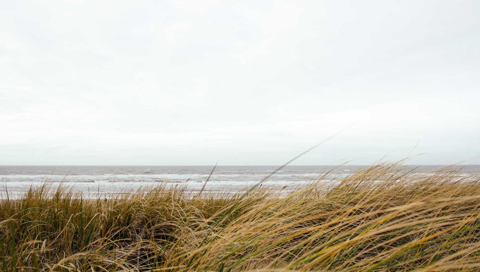 蓝猫移动实名账号：流量卡实名认证有哪些注意事项？